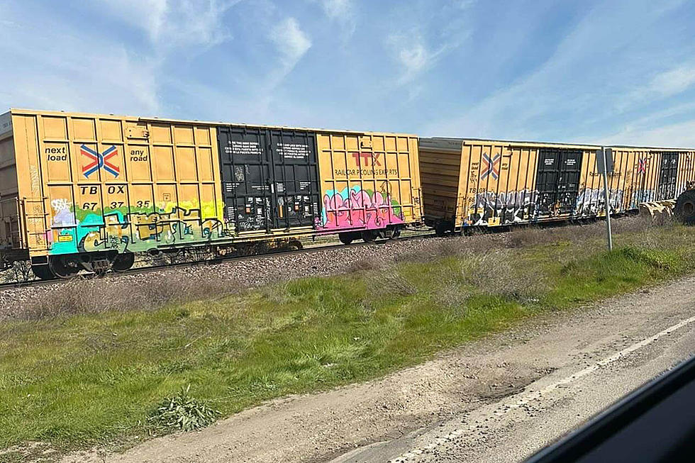California Ranchers Worried About 100s of Random Train Cars (Derailed)