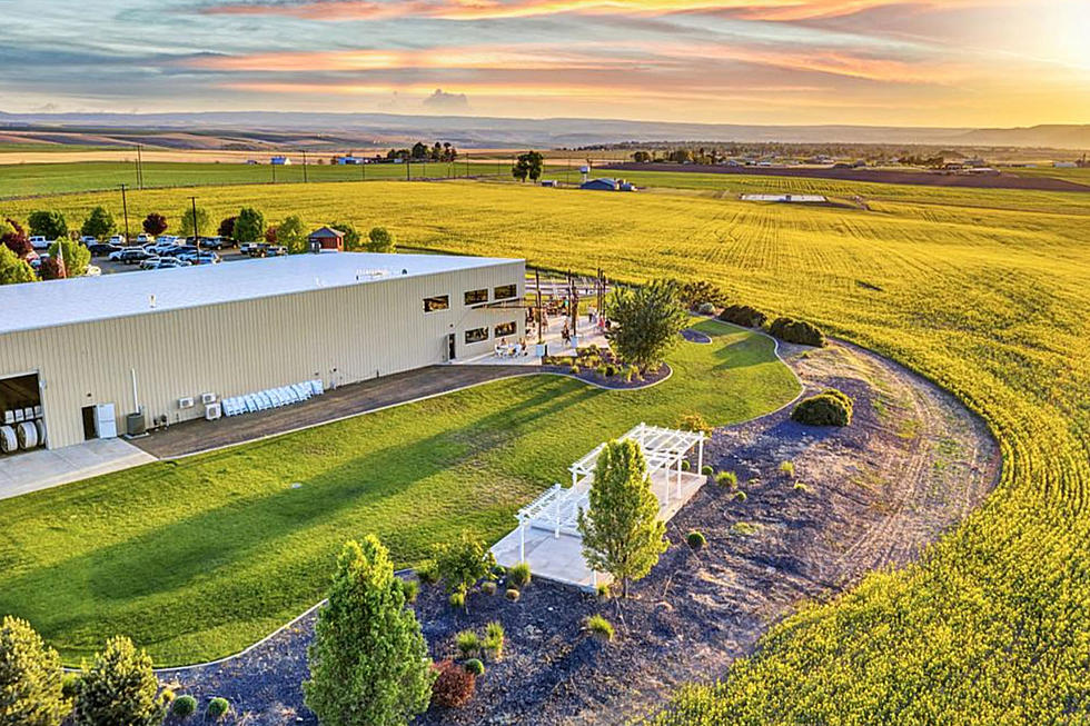 Beautiful Idaho Winery &#038; Vineyard Costs Less Than Homes in Boise