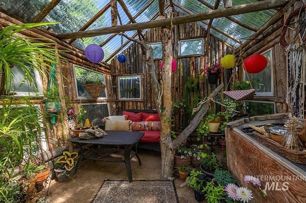 You've Got To See This Plant Lovers Paradise Home In Boise