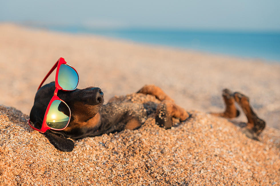 3 of the Best Places to Pick Up Some Slick Shades in Boise