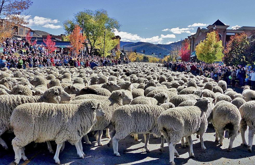 7 of the Best Fall Festivals That You Should Attend In Idaho