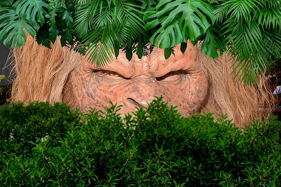 5 Bigfoot Sightings in Idaho That Will Keep You Up At Night