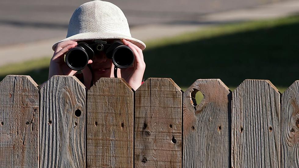 Eye-Opening Study Shows How Much Your Neighbor Is Spying In Idaho