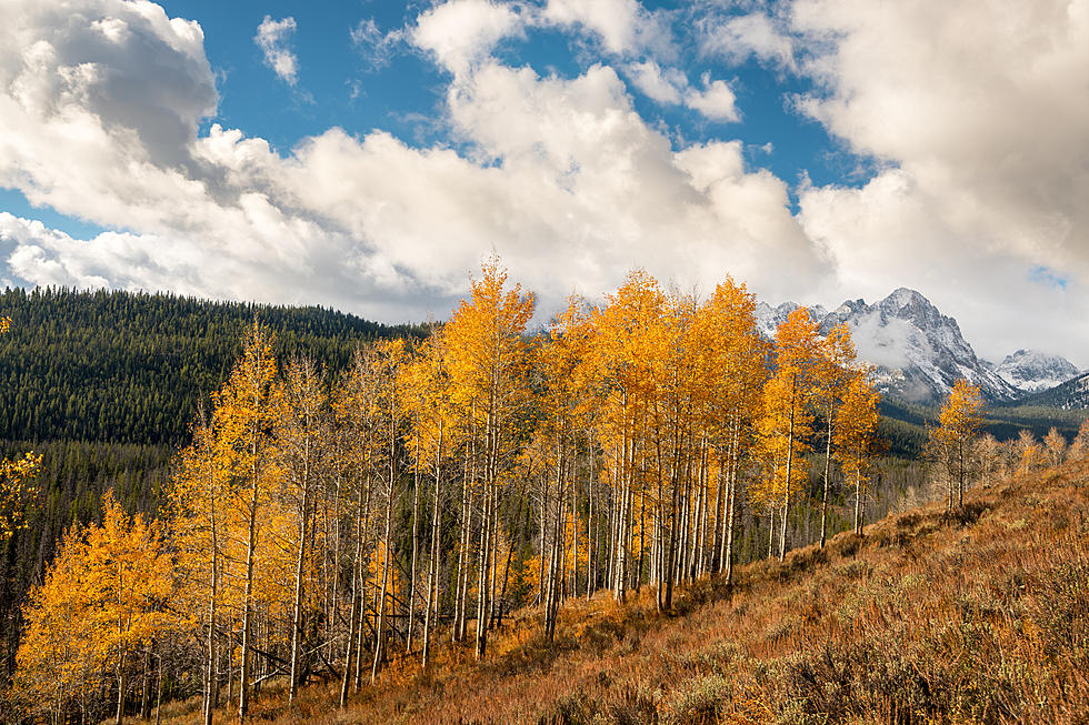The Fall Guide To One Of Idaho’s Most Beautiful Places To Visit in Autumn