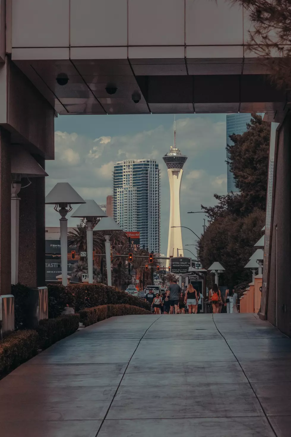 Photo by Matthew Woinarowicz on Unsplash