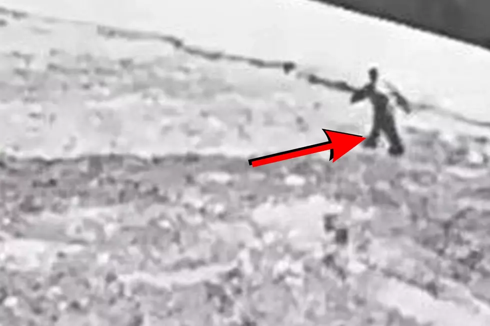 The Best Video Of Bigfoot Ever Is From Washington State