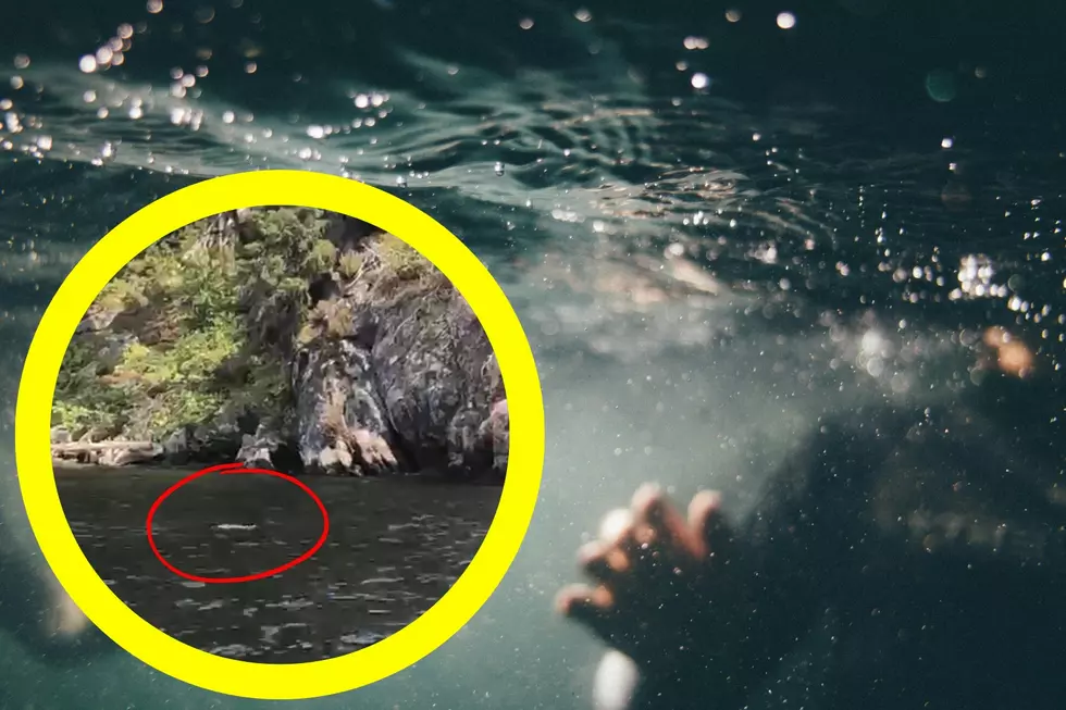 What Creepy Creature Is Lurking Beneath This Idaho Lake? (VIDEO)