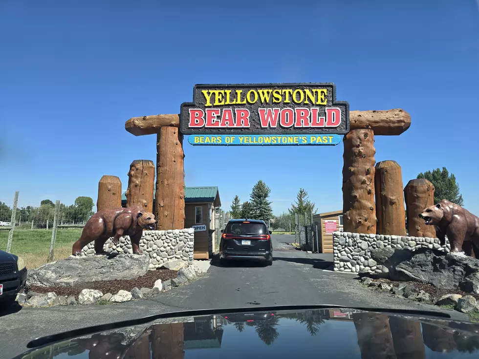 Idaho’s Yellowstone Bear World Is A Must Stop On Your Summer Road Trip
