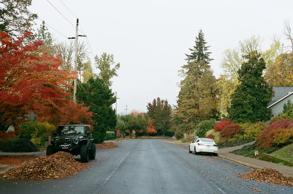Will It Rain on Halloween in Boise? Here’s the Latest