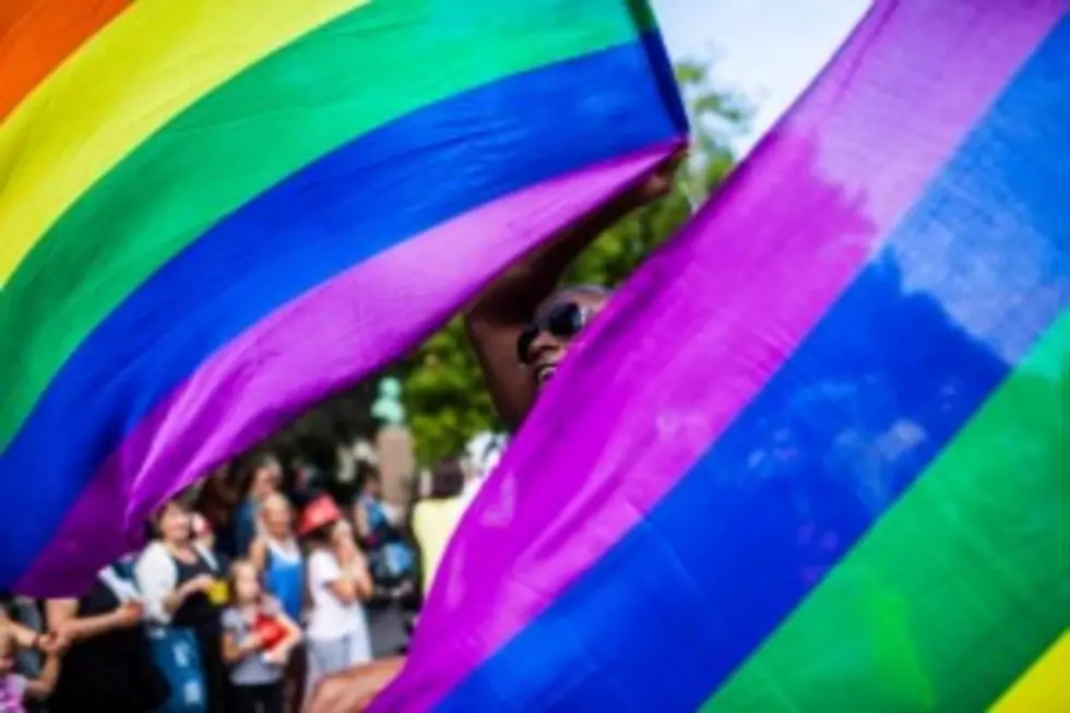 9th Circuit Court Halts Idaho Same Sex Marriages