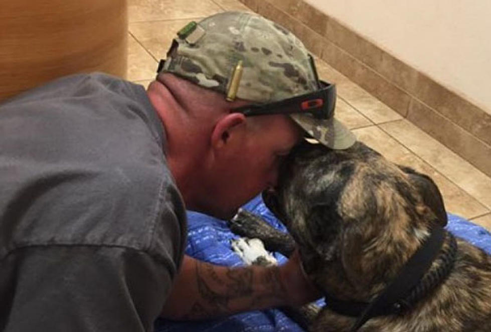 Treasure Valley Combat Vet’s PTSD Dog Shot – Please Help