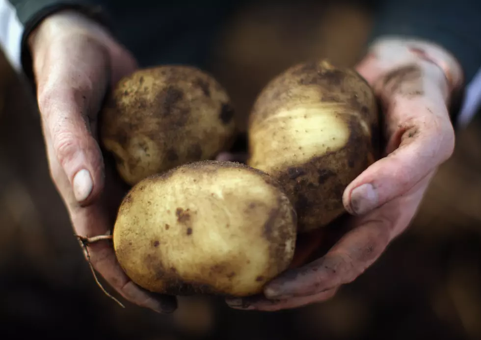 Idaho Potato Farmer to the Rescue