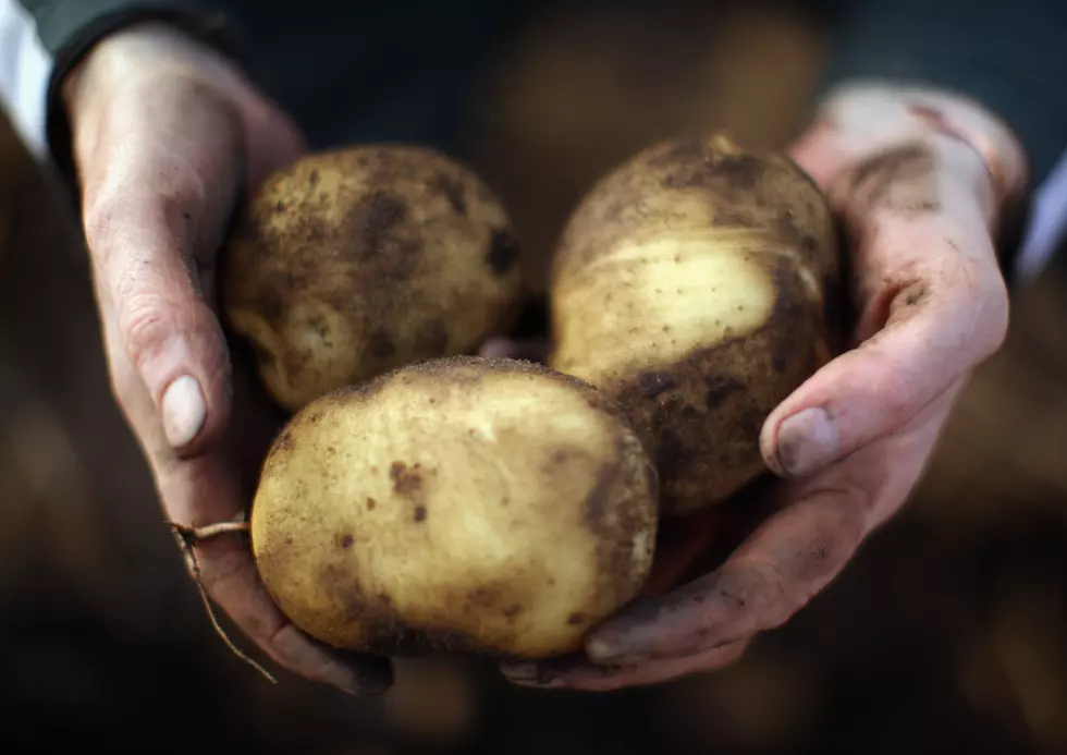 There&#8217;s A Potato Shortage In Idaho&#8230;EVERYBODY PANIC!