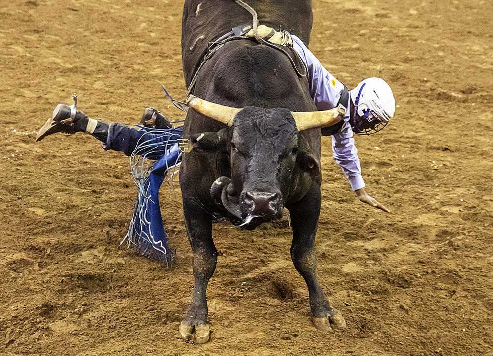 Watch PBR Rock Nampa on the Road to Recovery