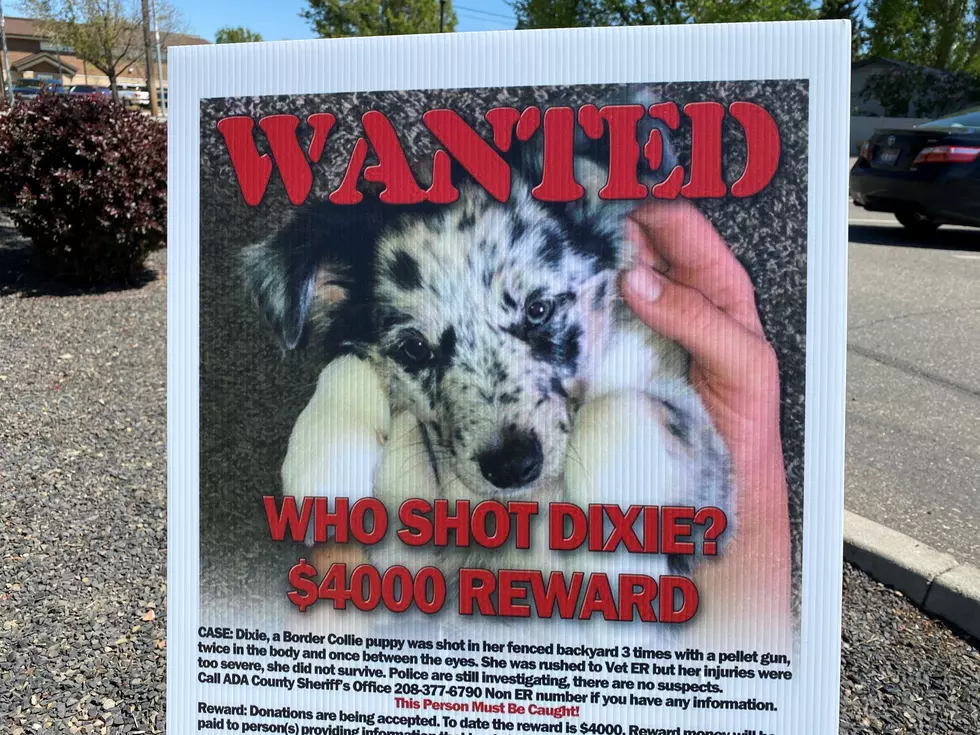 $4000 Reward Offered for Dog Killer
