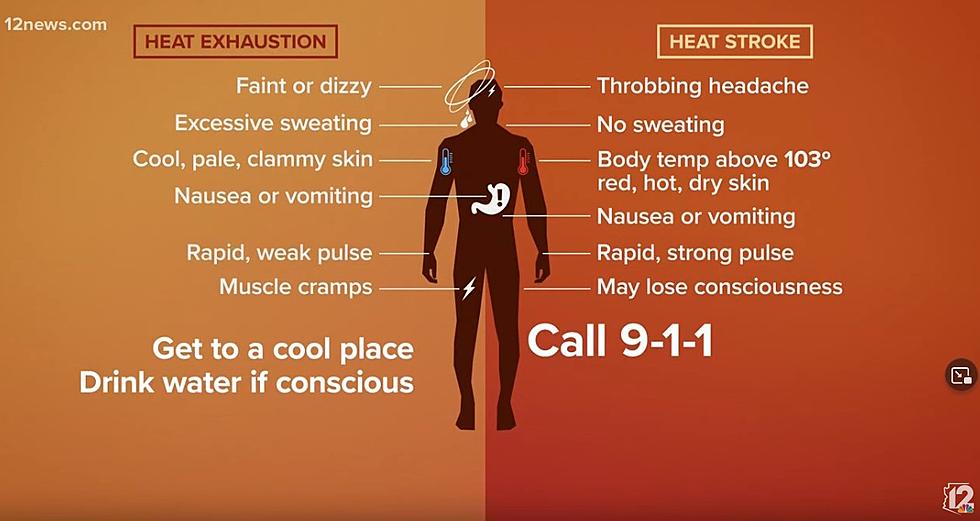 Idaho Heatstroke Prevention Tips for Triple Digit Heat
