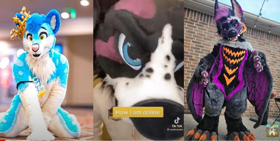 Why Boise Area Schools Are Allowing Disruptive Furries in the Classroom
