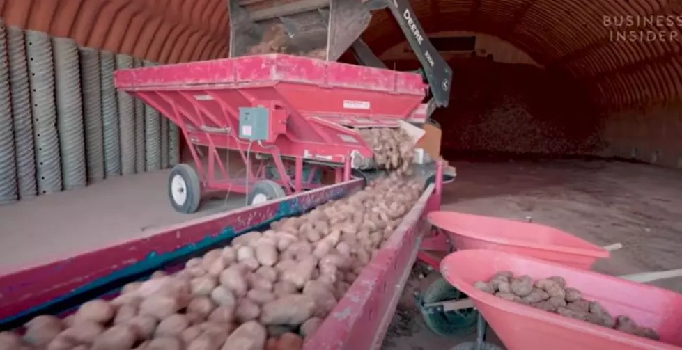 Idaho Farm Generously Donates 10 Million Pounds of Potatoes!