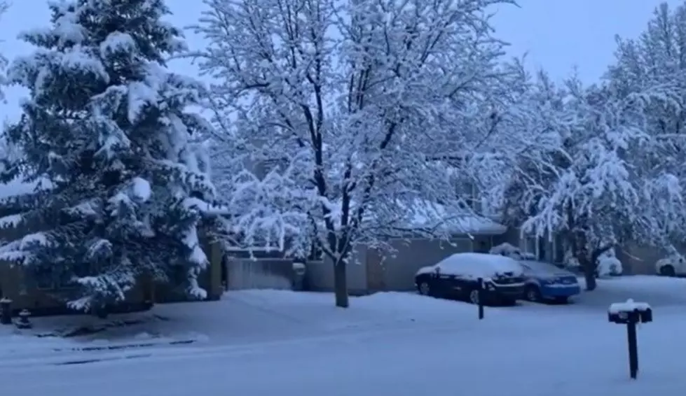Snowfall Returns to Idaho: The Ultimate Guide to Winter in Boise