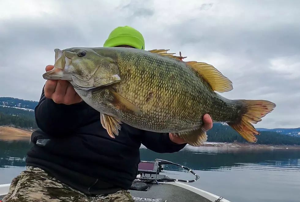 How This Idaho Fisherman Caught A Record Small Mouth Bass