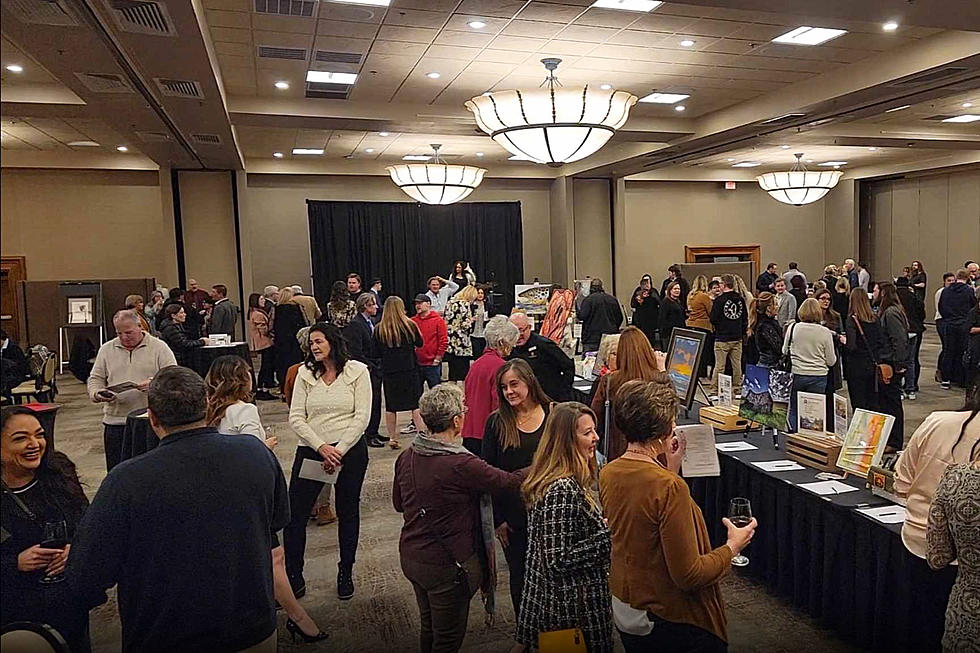 Idaho Art Gallery Event for Local Non-Profits Was a Huge Success