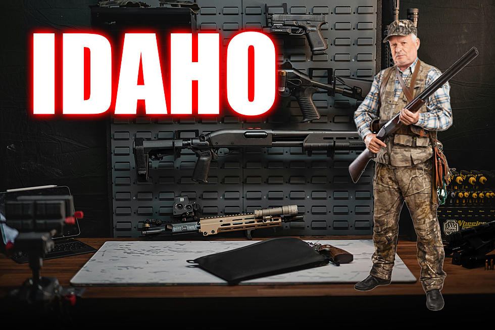 Can You Guess the 3 Counties in Idaho That Own the Most Weapons?