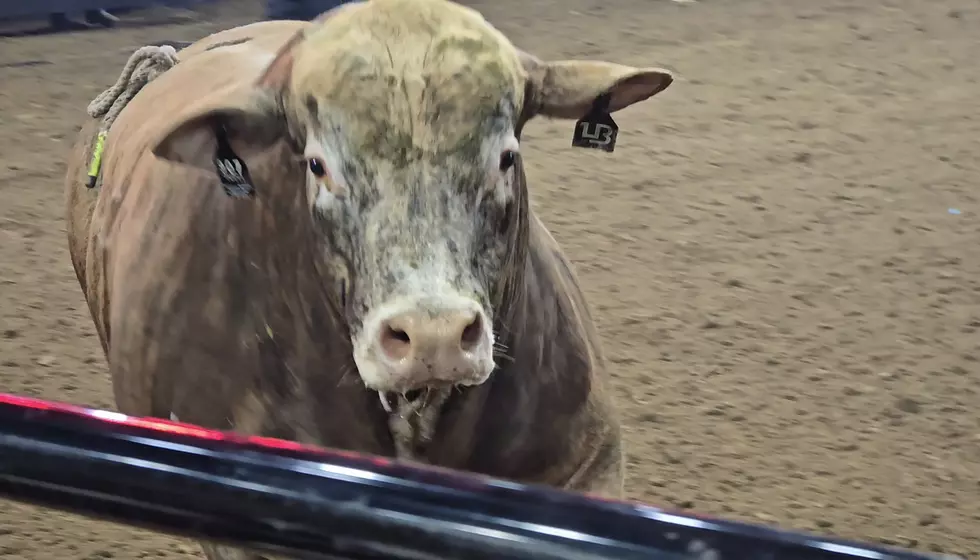 30 Photos from PBR Unleash the Beast at Nampa's Ford Idaho Center