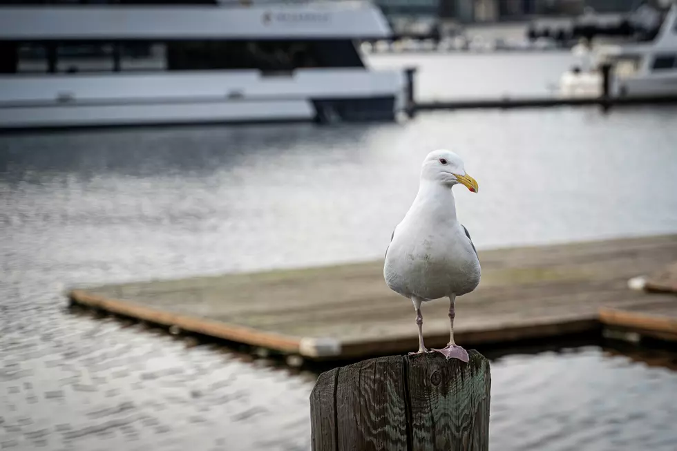 Photo by Alexandra Tran on Unsplash