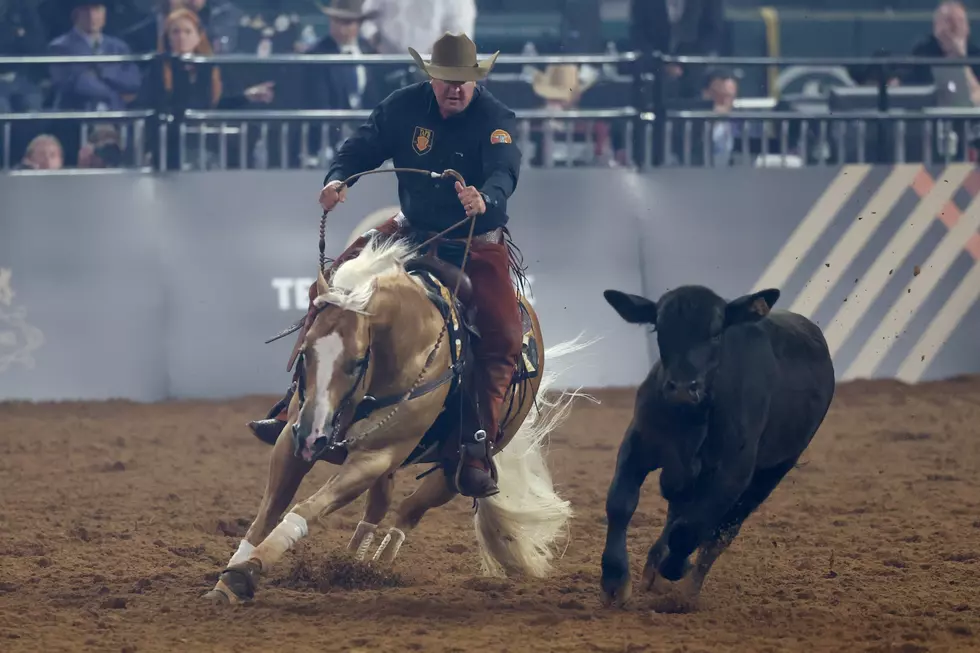 20 Items You Can't Take To The Snake River Stampede