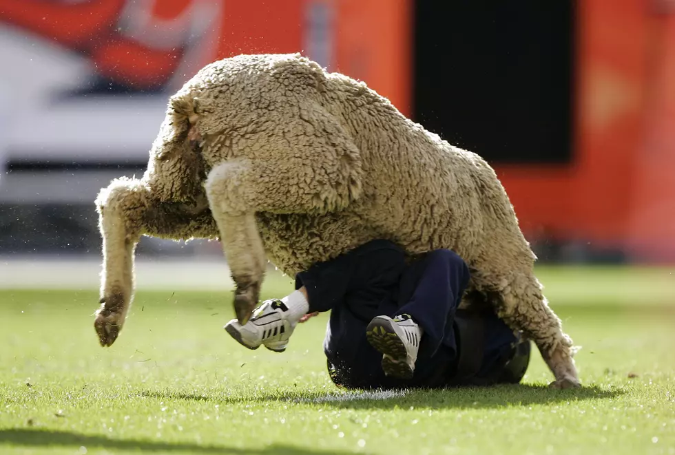 Brian Bahr, Getty Images