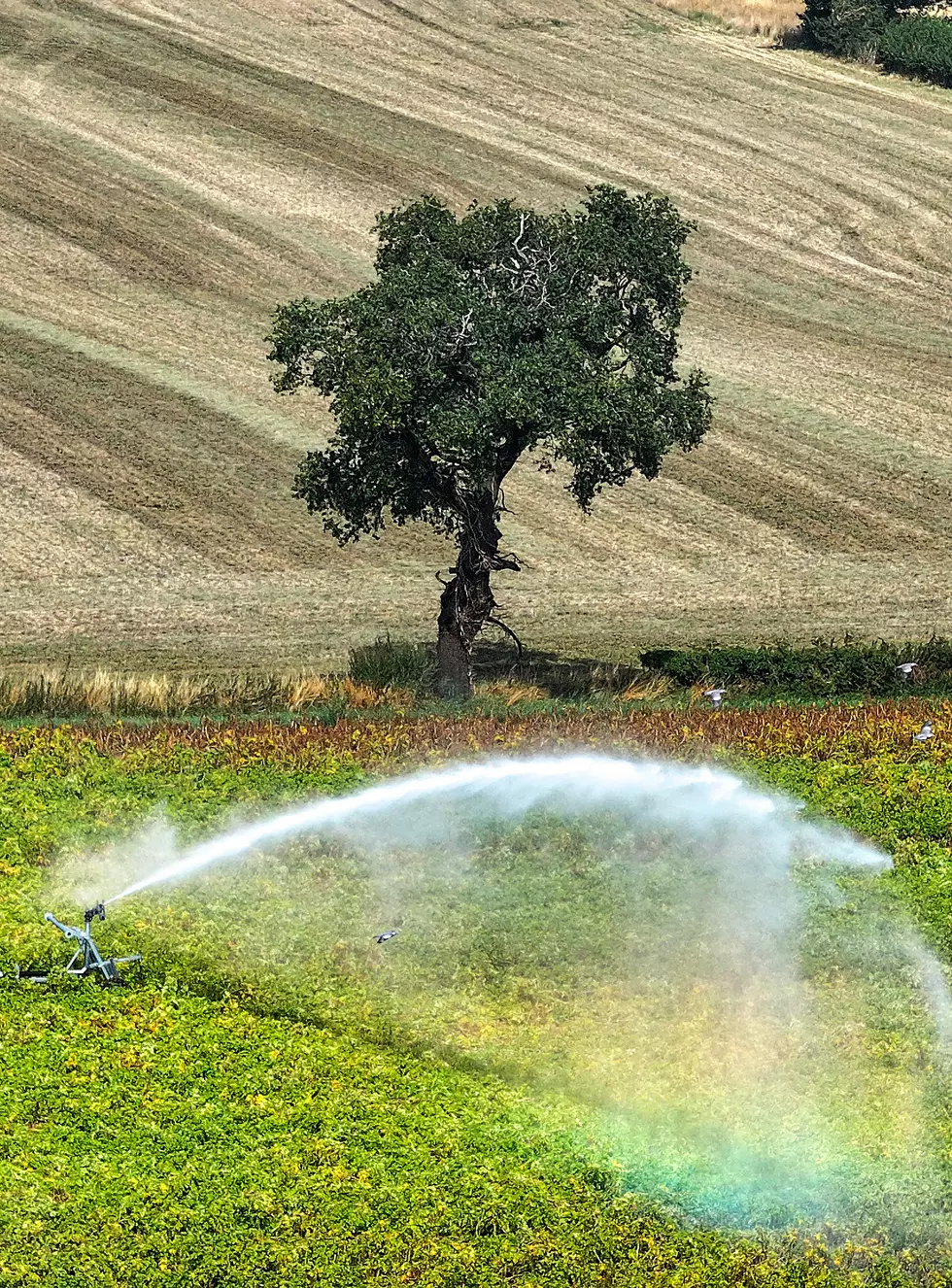 Christopher Furlong, Getty Images