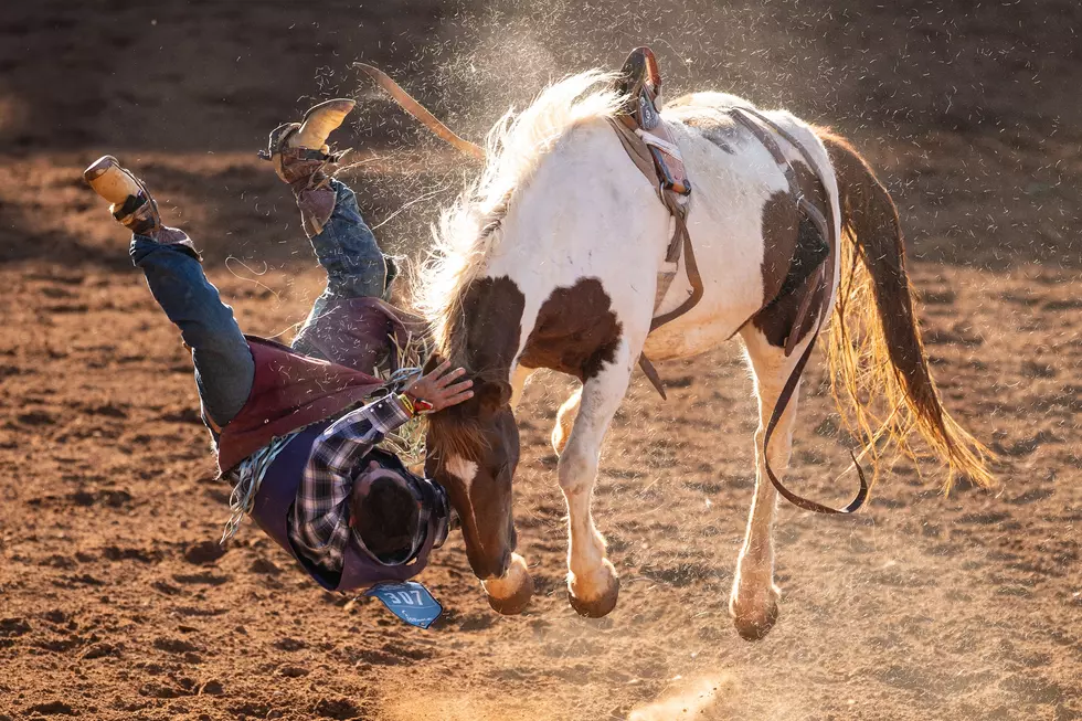 Darrian Traynor, Getty Images