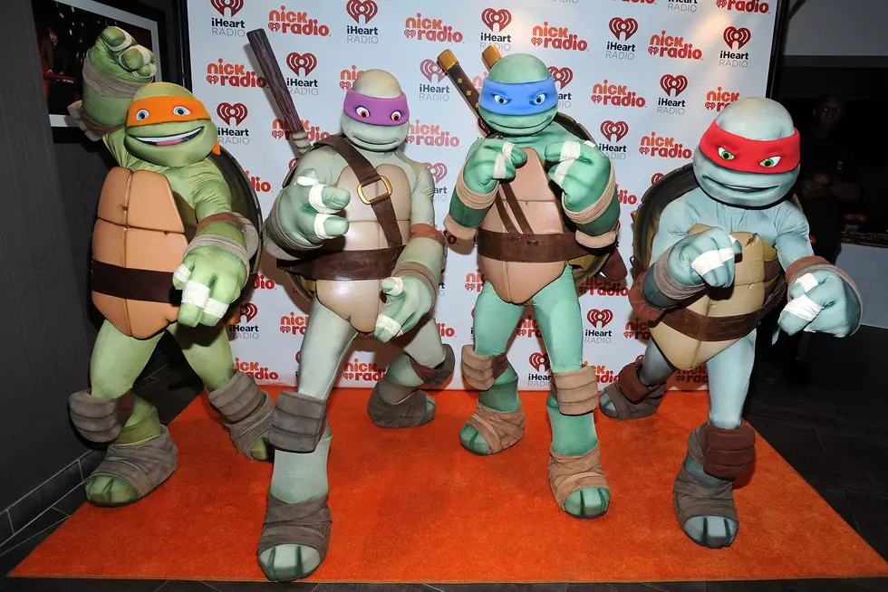 Oh My Turtles!