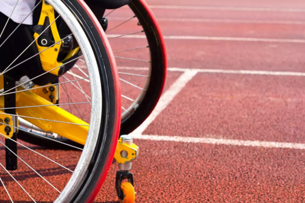 Watch Wheelchair Dogs Play Fetch