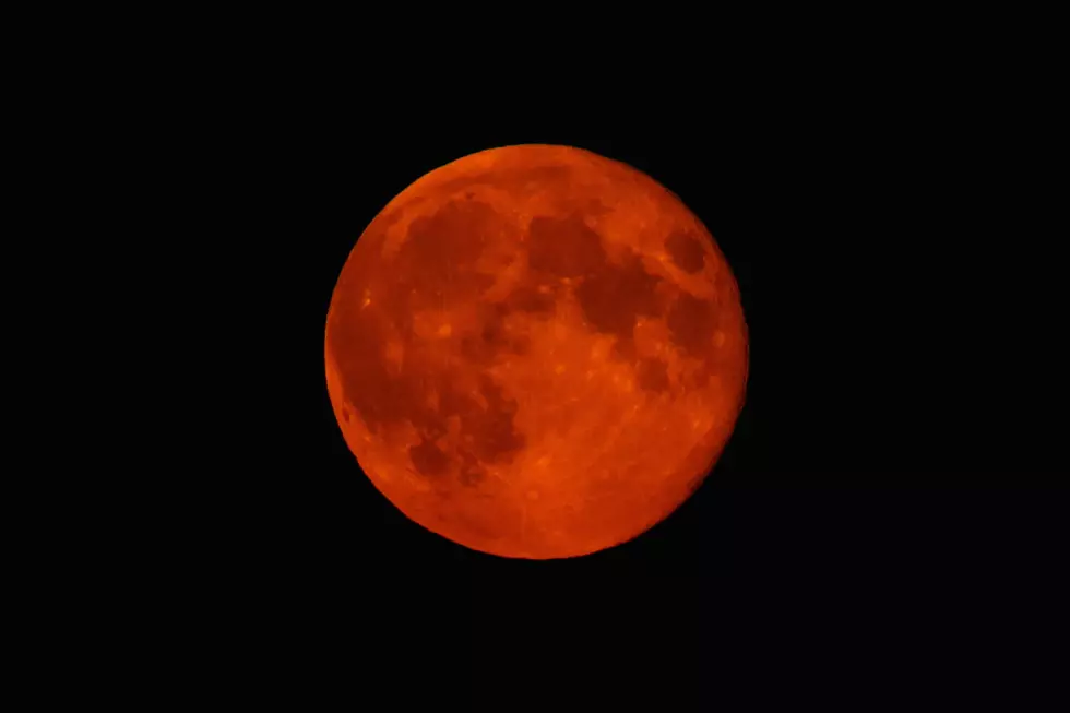 What You Should Know About This Month's Super Blood Wolf Moon