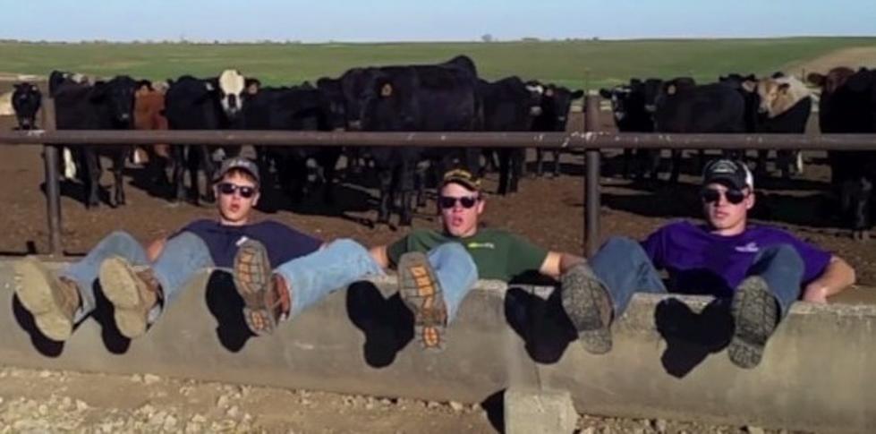 Farmer Boys Sing the Hits {Video}