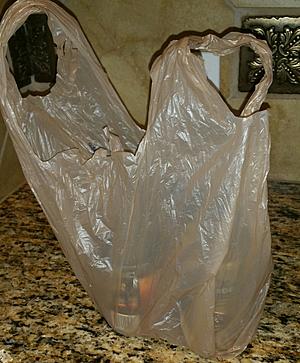 Should Plastic Grocery Bags be Banned in Idaho?