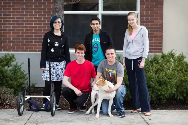 Boise Rescue Dog Gets Help From BSU Students