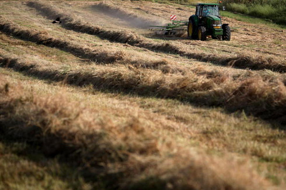 Social Distancing? Not a Problem In The Palouse