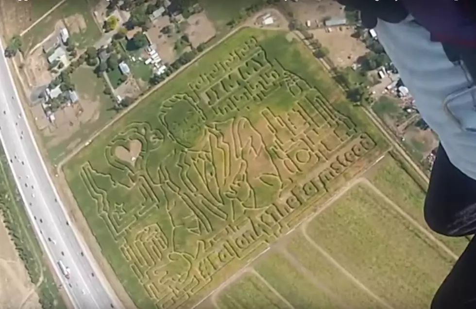 Jimmy Fallon Show Visits Farmstead in Meridian  [Video]
