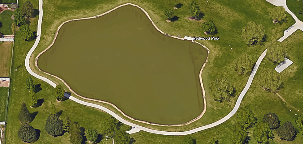 Invasive Species Shuts Down Boise Park’s Pond