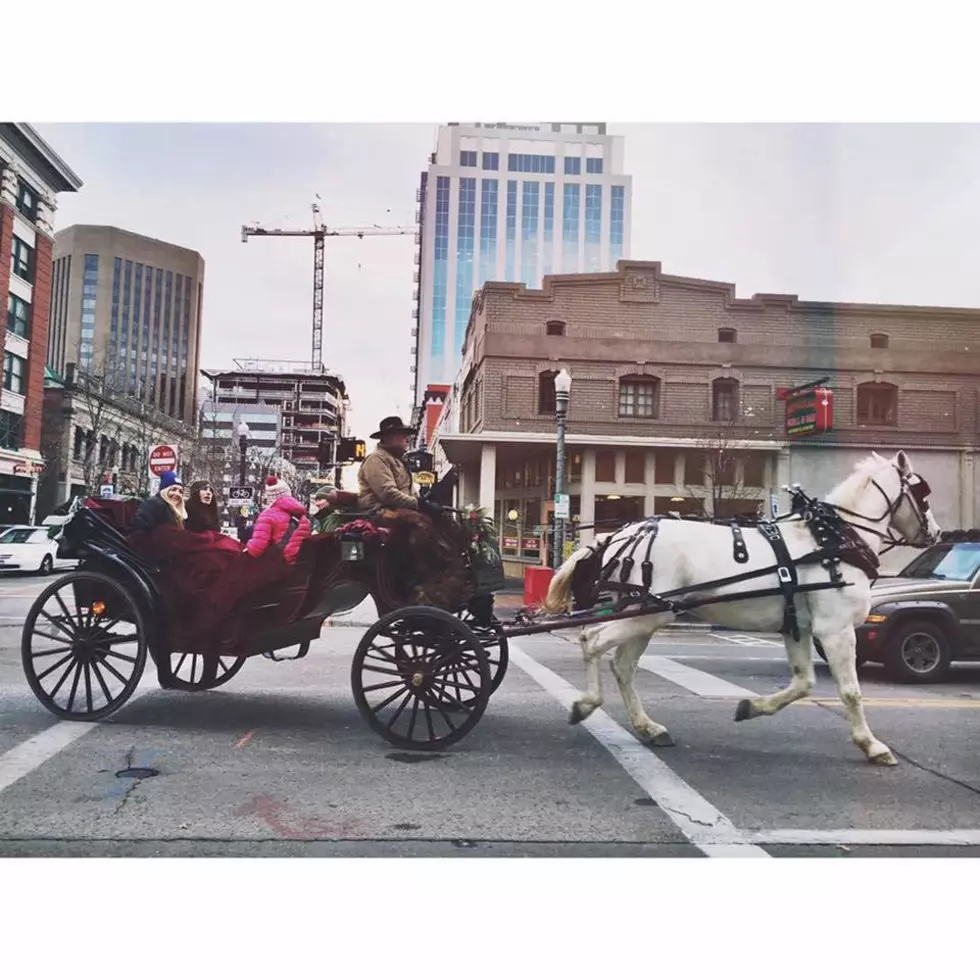 Free Carriage Rides Around Downtown Boise Are Back