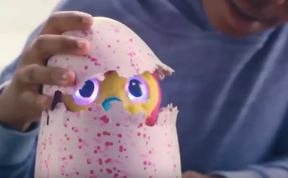 Does Your Kid Want a Hatchimal?