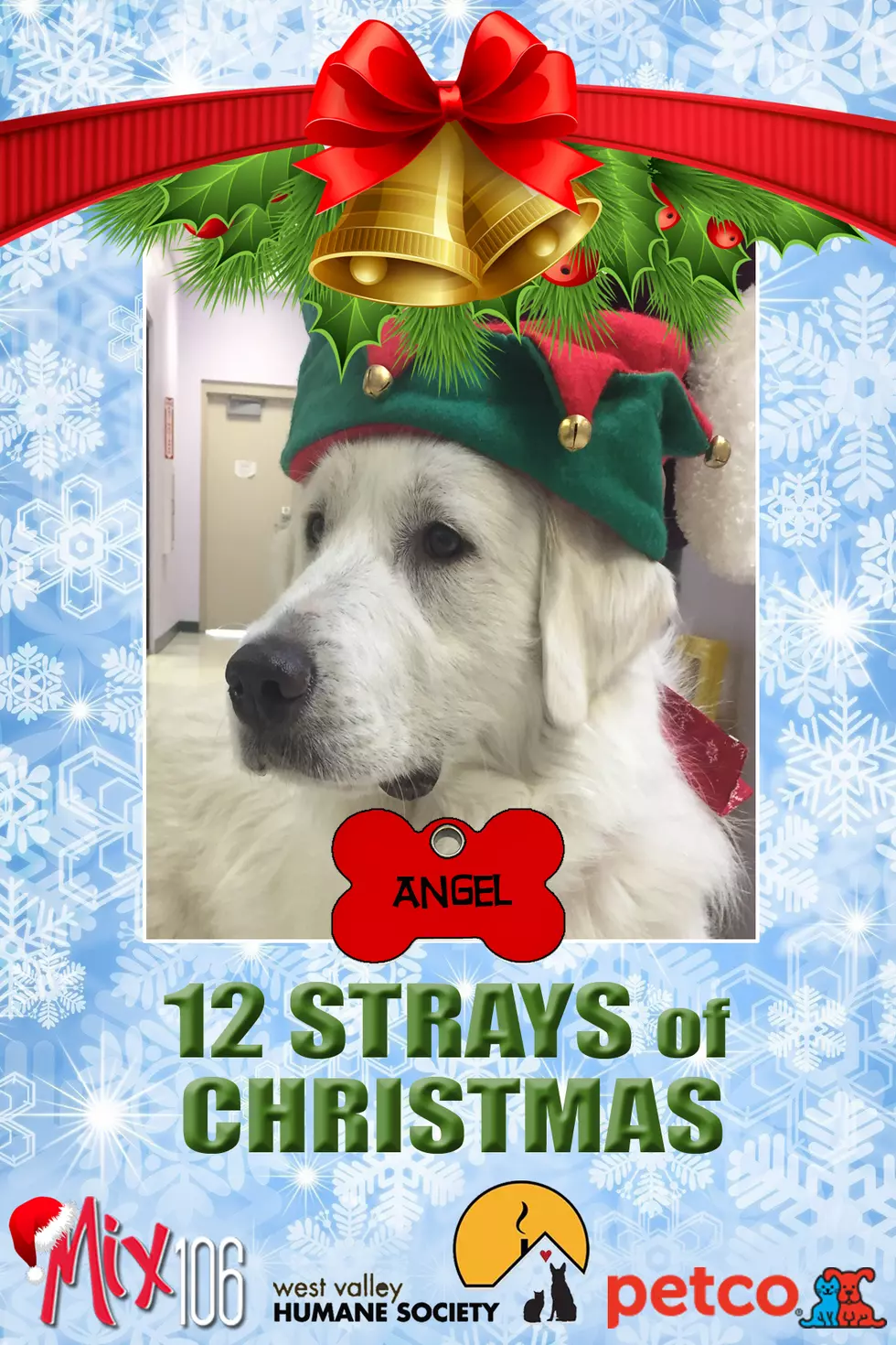 #2 of 12 Strays of Christmas – Angel