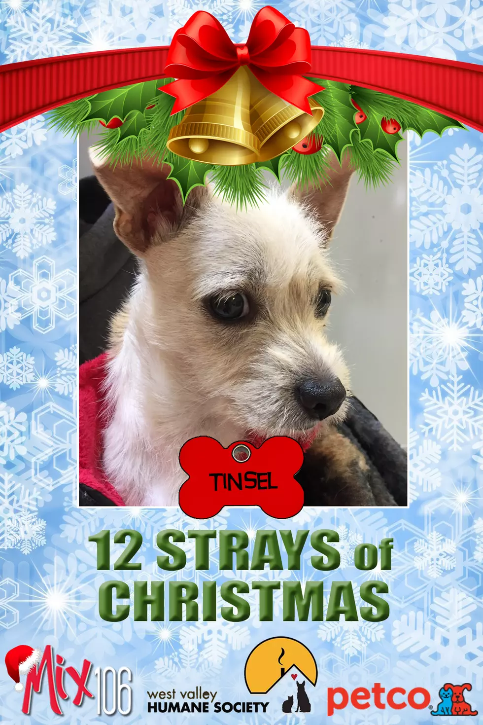 #5 of The 12 Strays of Christmas – Tinsel