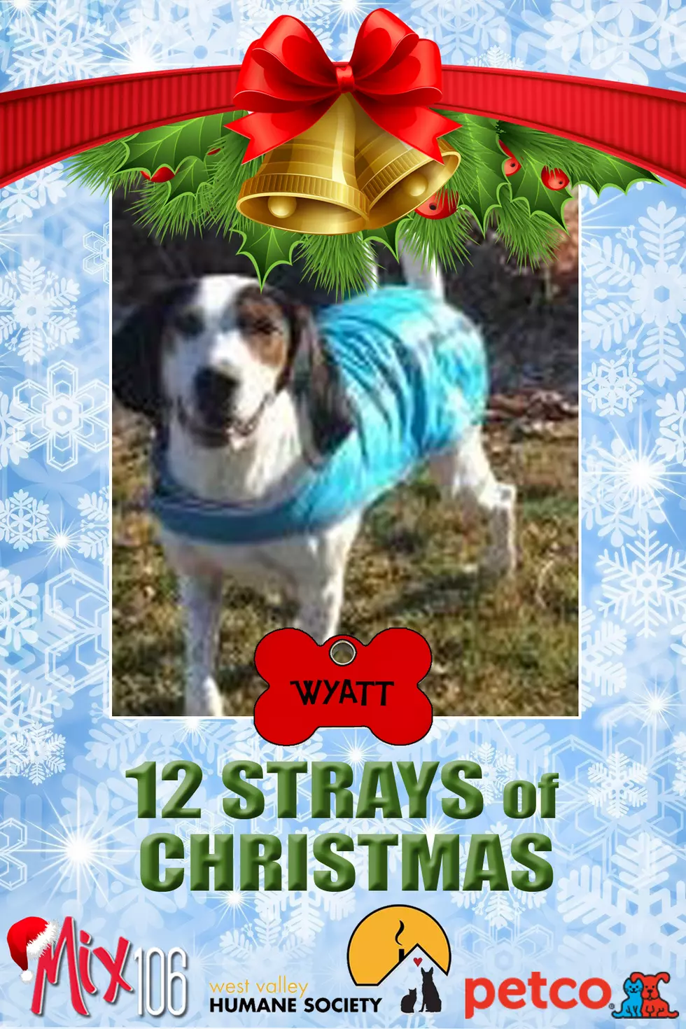 #6 of The 12 Strays of Christmas – Wyatt