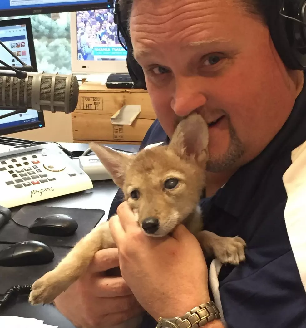 Corbin Maxey Brings Cutest Animals Ever to Mix 106 Studios  [Video]