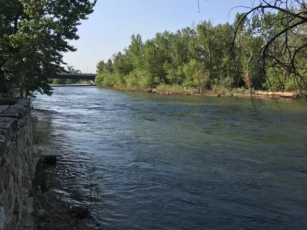 Every Saturday Morning People Jump Into the Boise River