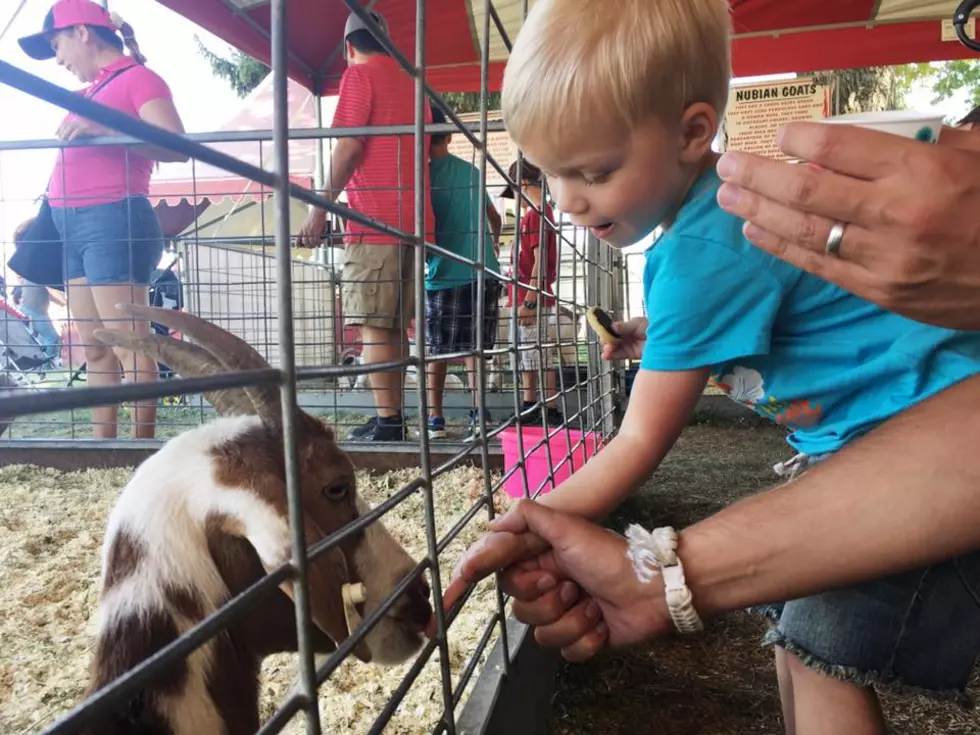 Nicole&#8217;s Family Visits the Western Idaho Fair [PHOTOS]