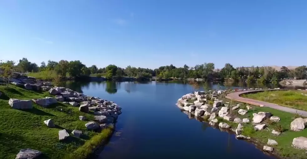 Toxic Algae in Boise Pond